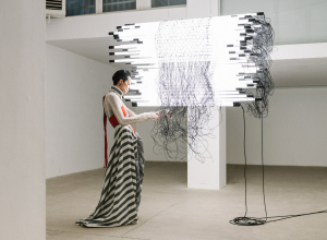 MONICA BONVICINI, UNREQUITED LOVE